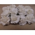 Kwiatki papierowe 12szt. białe