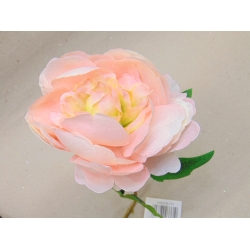 Piwonia  55cm jasny róż