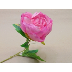 Piwonia  55cm ciemny róż