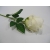 Róża 55cm kremowa