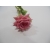 Róża 43cm brudny róż