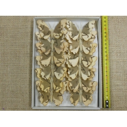 Motyle, 12 szt., ok. 8 cm.