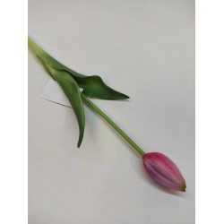 Tulipan silikonowy 40cm cieniowany róż