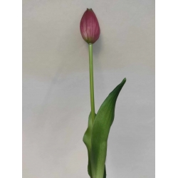 Tulipan silikonowy 40cm ciemny róż