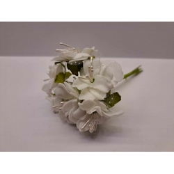 Piankowe kwiatki białe, ok. 13 cm. wysokości.