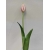 Tulipan silikonowy 40cm biało-różowy
