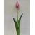 Tulipan silikonowy 40cm cieniowany róż