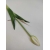 Tulipan silikonowy 40cm biały